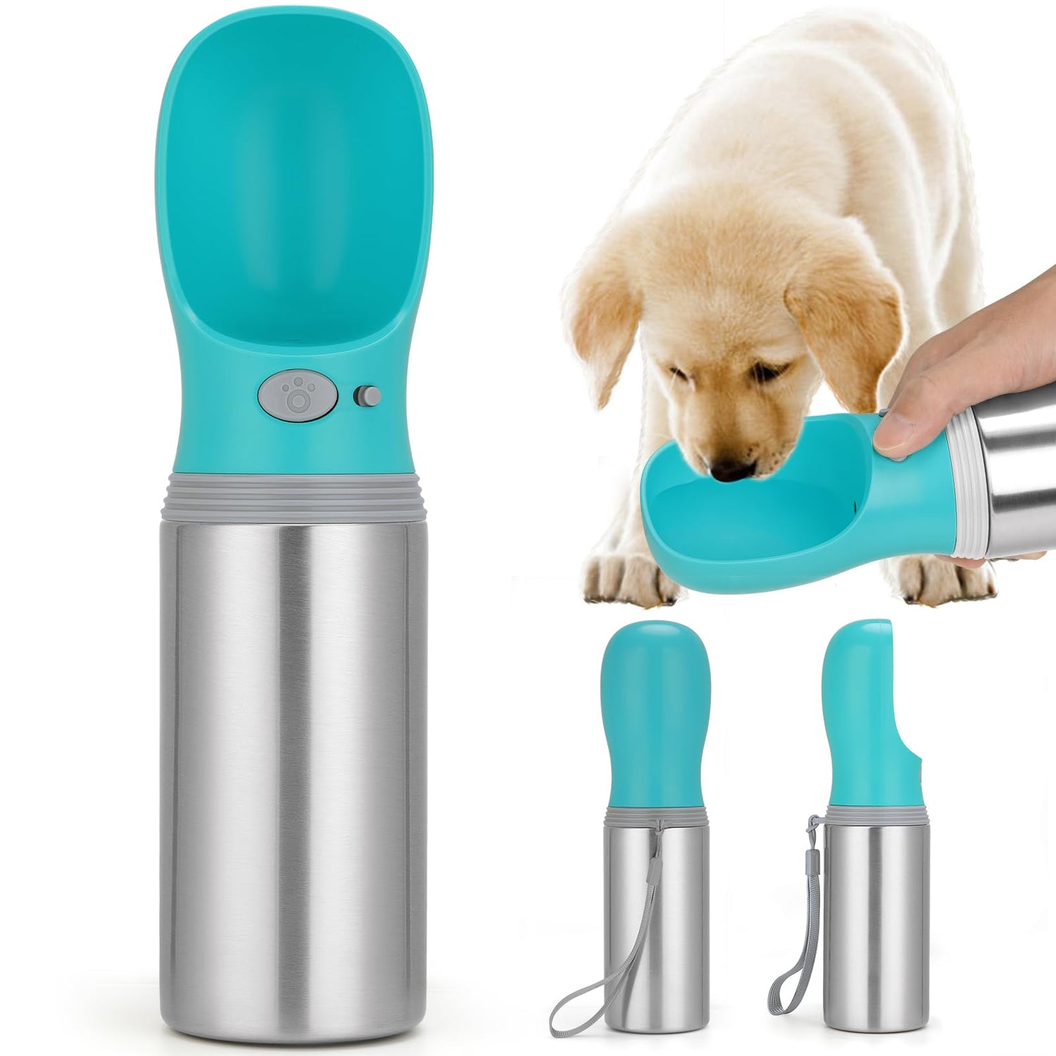 Portable Water Bottle