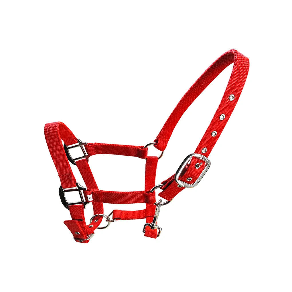 Padded Halter Pony Bridle Head Collar Adjustable Horse Supplies Professional Soft Padded Pony Horse Halter Bridle Headstall Head