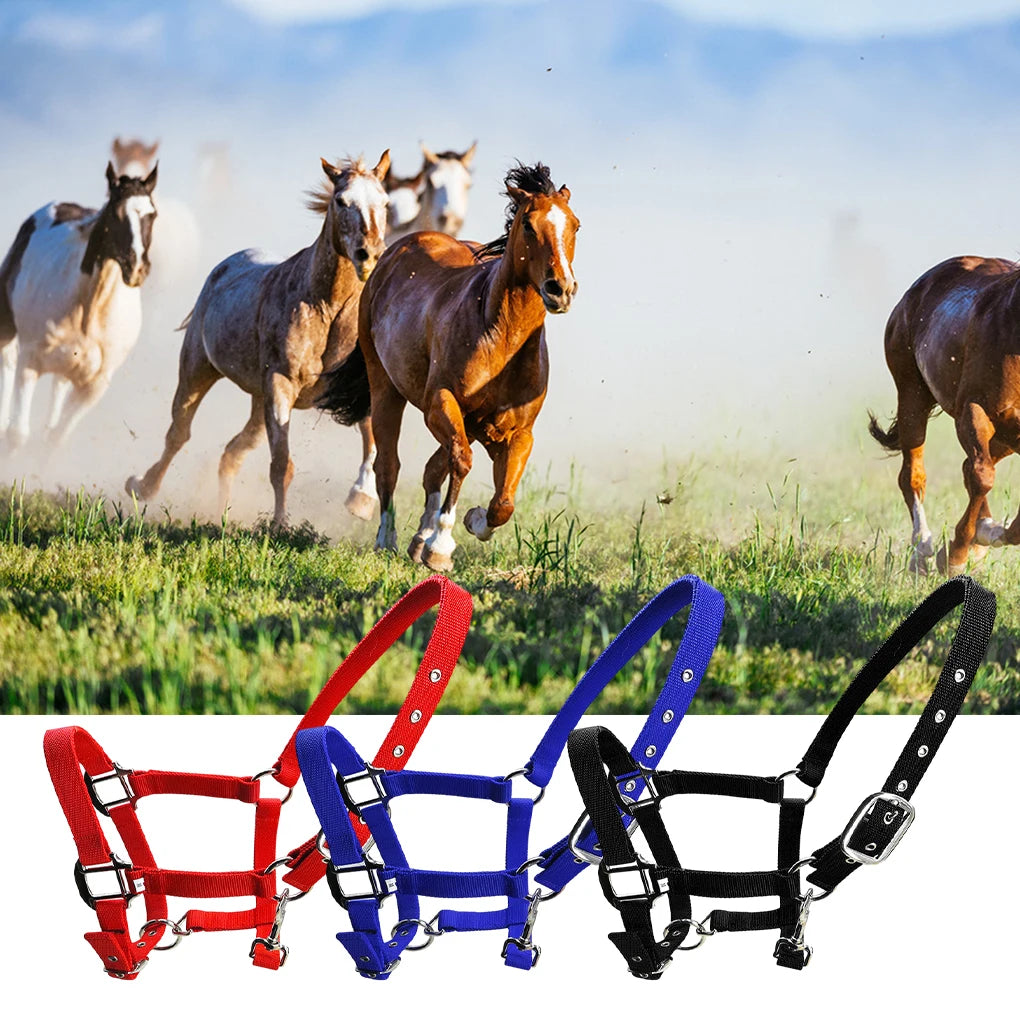 Padded Halter Pony Bridle Head Collar Adjustable Horse Supplies Professional Soft Padded Pony Horse Halter Bridle Headstall Head