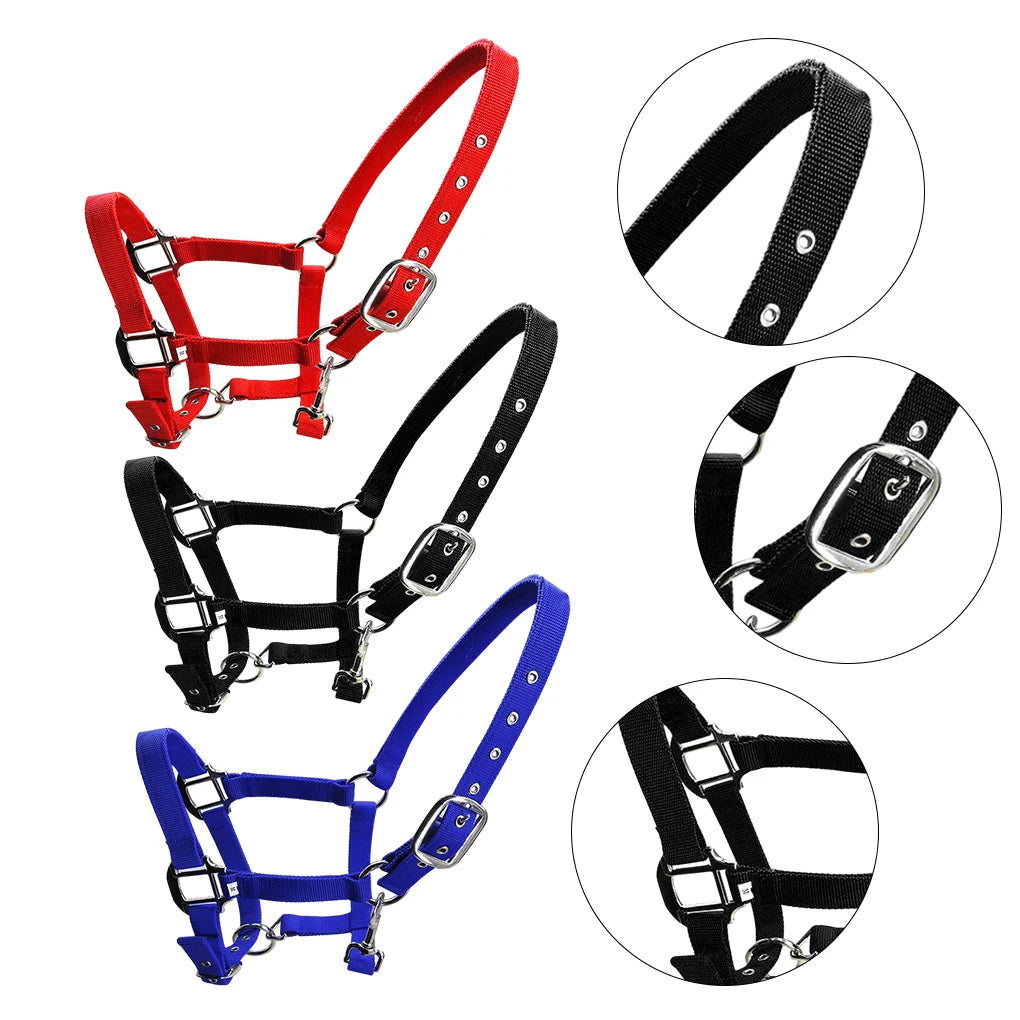 Padded Halter Pony Bridle Head Collar Adjustable Horse Supplies Professional Soft Padded Pony Horse Halter Bridle Headstall Head
