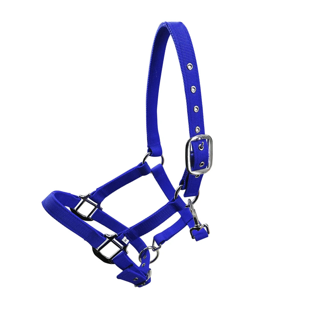 Padded Halter Pony Bridle Head Collar Adjustable Horse Supplies Professional Soft Padded Pony Horse Halter Bridle Headstall Head
