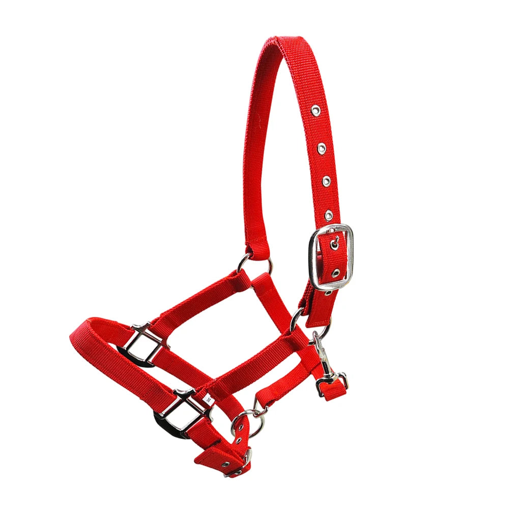 Padded Halter Pony Bridle Head Collar Adjustable Horse Supplies Professional Soft Padded Pony Horse Halter Bridle Headstall Head