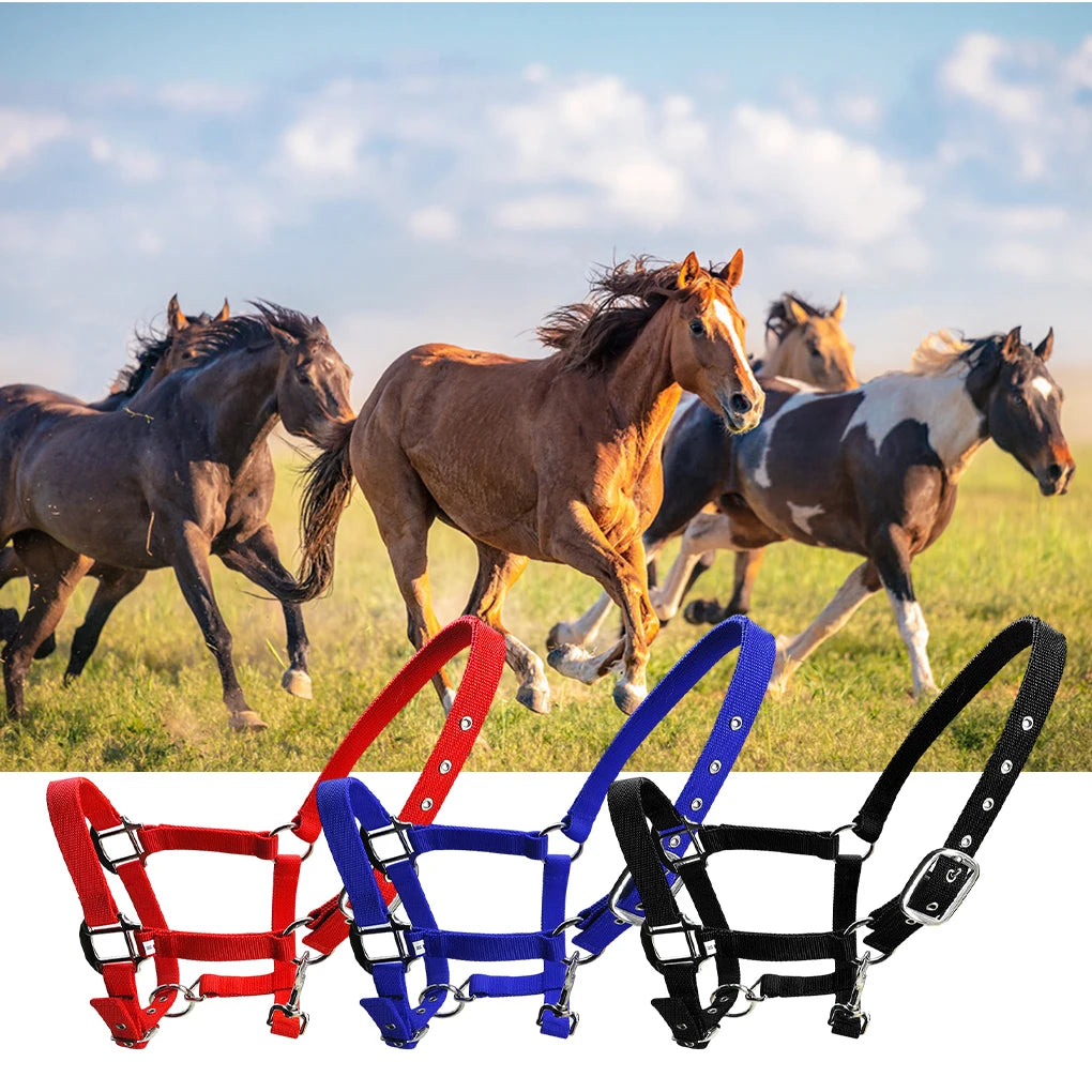 Padded Halter Pony Bridle Head Collar Adjustable Horse Supplies Professional Soft Padded Pony Horse Halter Bridle Headstall Head