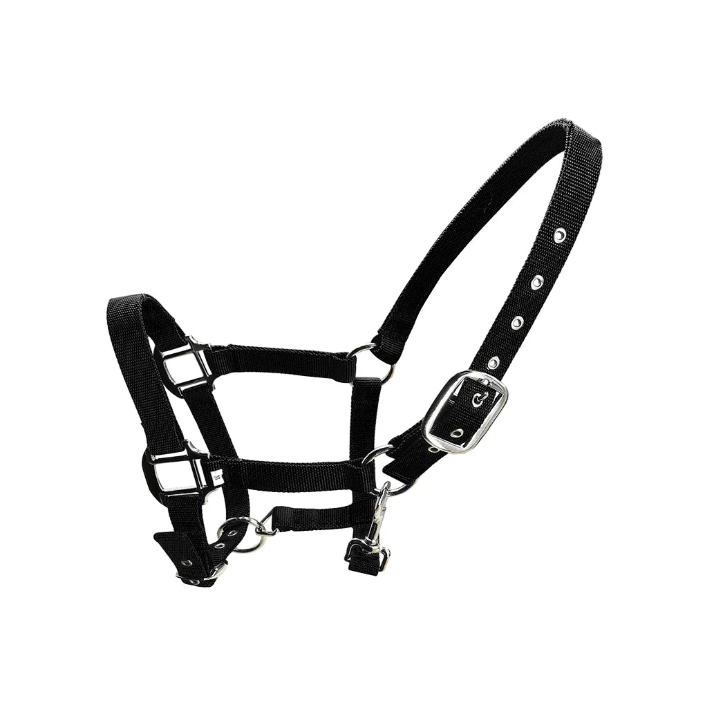 Padded Halter Pony Bridle Head Collar Adjustable Horse Supplies Professional Soft Padded Pony Horse Halter Bridle Headstall Head