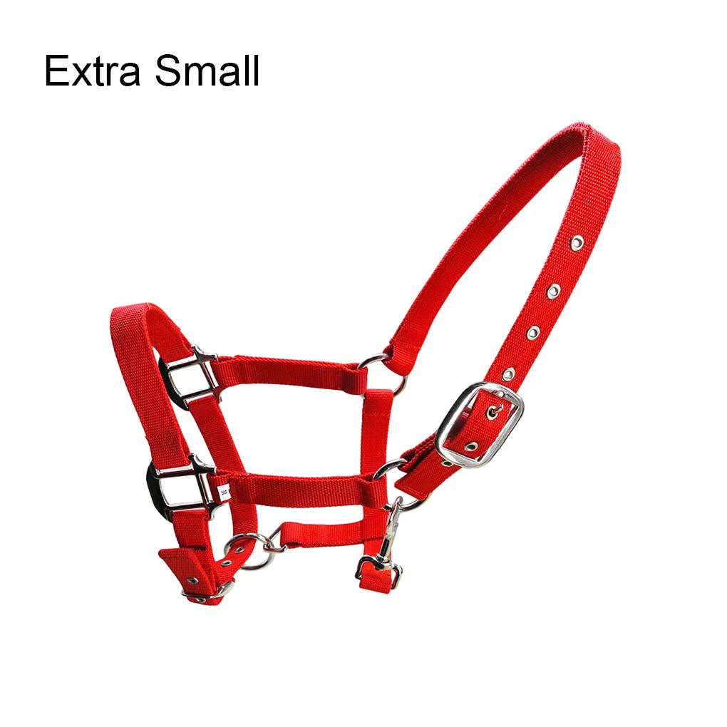 Padded Halter Pony Bridle Head Collar Adjustable Horse Supplies Professional Soft Padded Pony Horse Halter Bridle Headstall Head
