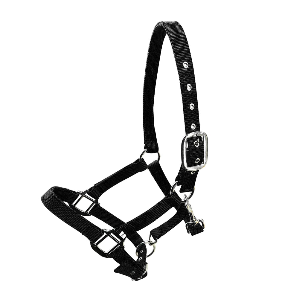 Padded Halter Pony Bridle Head Collar Adjustable Horse Supplies Professional Soft Padded Pony Horse Halter Bridle Headstall Head