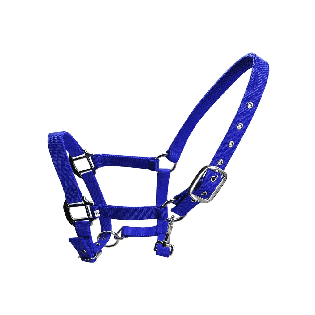 Padded Halter Pony Bridle Head Collar Adjustable Horse Supplies Professional Soft Padded Pony Horse Halter Bridle Headstall Head
